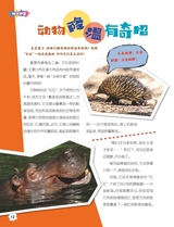 红领巾·成长2024年7-8合刊