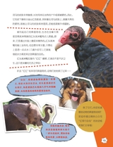 红领巾·成长2024年7-8合刊