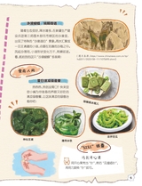 红领巾·成长2024年7-8合刊