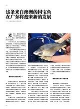 海洋与渔业2025年8月第4期