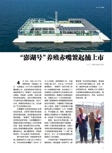 海洋与渔业2025年6月第3期