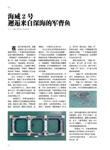 海洋与渔业2025年6月第3期