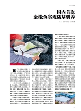 海洋与渔业2025年6月第3期