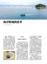 海洋与渔业2025年6月第3期