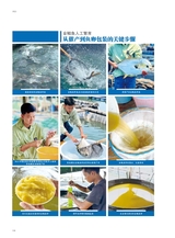 海洋与渔业2025年6月第3期