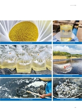 海洋与渔业2025年6月第3期