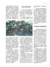 海洋与渔业2025年6月第3期