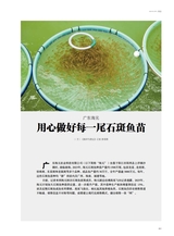 海洋与渔业2025年6月第3期