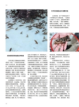 海洋与渔业2025年6月第3期