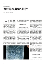 海洋与渔业2025年6月第3期