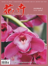 花卉（上半月·科普类）2025年8月第8期