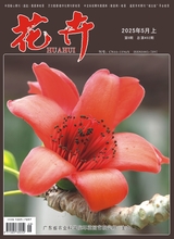 花卉（上半月·科普类）2025年5月第5期
