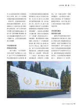 华人时刊2025年8月第8期