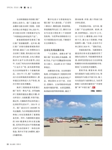 华人时刊2025年8月第8期