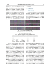 河南理工大学学报·自然科学版2025年9月第5期