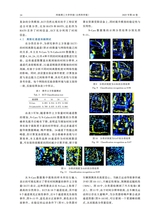 河南理工大学学报·自然科学版2025年9月第5期
