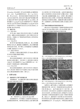 轻纺工业与技术2025年4月第2期