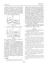 轻纺工业与技术2025年4月第2期