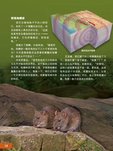 环球探索2025年6月第6期