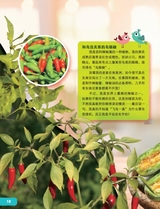 环球探索2025年6月第6期
