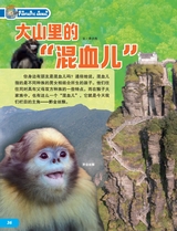 环球探索2025年6月第6期