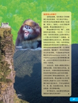 环球探索2025年6月第6期