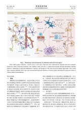 神经药理学报2025年6月第3期