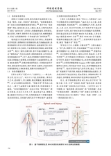 神经药理学报2025年6月第3期
