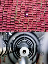 金桥2025年9月第9期