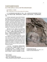 孔子学院·中意文对照版2025年7月第4期