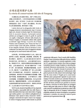 孔子学院·中意文对照版2025年7月第4期