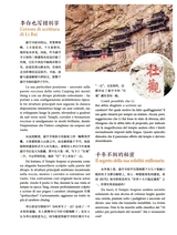 孔子学院·中意文对照版2025年7月第4期