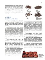 孔子学院·中意文对照版2025年5月第3期