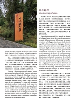 孔子学院·中意文对照版2025年5月第3期