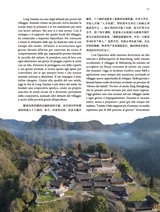 孔子学院·中意文对照版2025年5月第3期