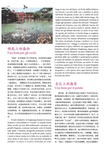 孔子学院·中意文对照版2025年5月第3期