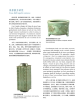 孔子学院·中意文对照版2025年1月第1期