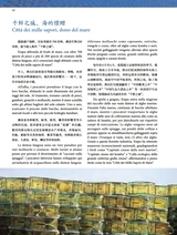 孔子学院·中意文对照版2025年1月第1期