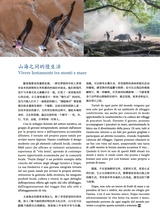 孔子学院·中意文对照版2025年1月第1期