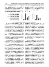 现代中西医结合杂志2025年7月第7期