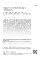 中华新生儿科杂志2025年5月第5期