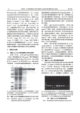 福建农业科技2025年5月第5期