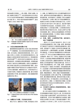 地震科学进展2025年7月第7期