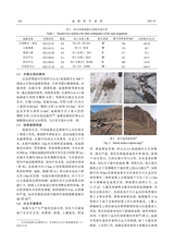 地震科学进展2025年7月第7期