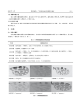 广西农学报2025年8月第4期