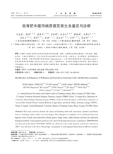 广西农学报2025年8月第4期