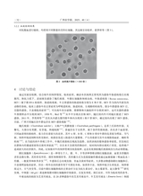 广西农学报2025年8月第4期