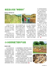 源流2025年5月第5期