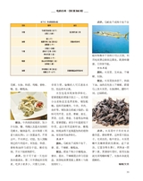 饮食科学2020年7月第7期