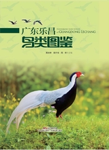 广东乐昌鸟类图鉴2022年10月第1期